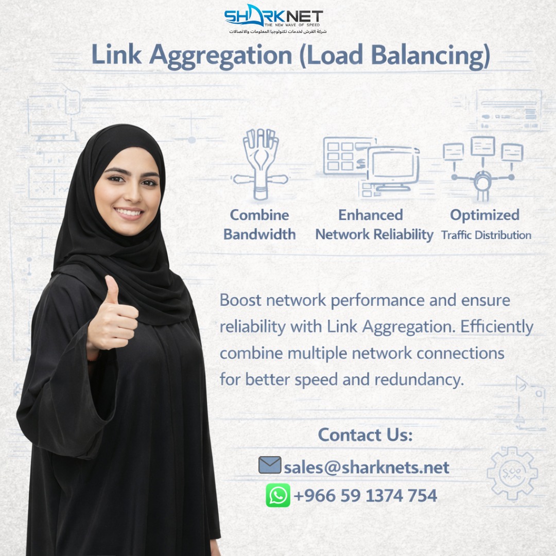 Link aggregation and load balancing for business networks
