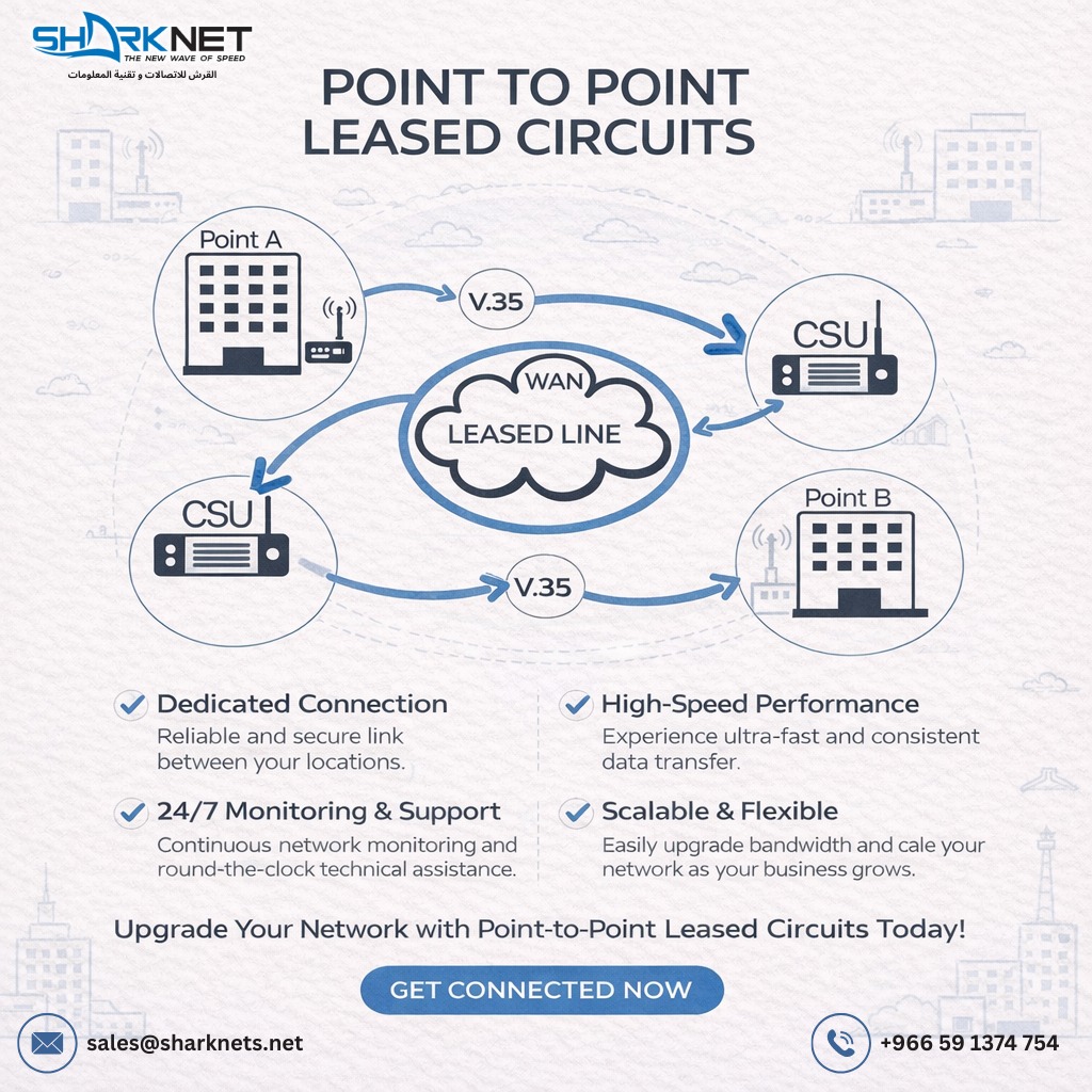 Point-to-point private leased line network diagram